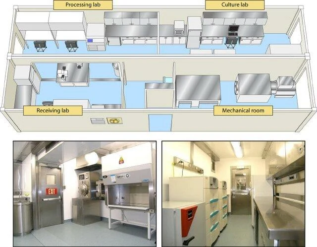 Planned BSL-3 laboratory layout illustration